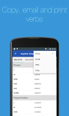 French Verb Conjugator android App screenshot 16