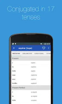 French Verb Conjugator android App screenshot 17